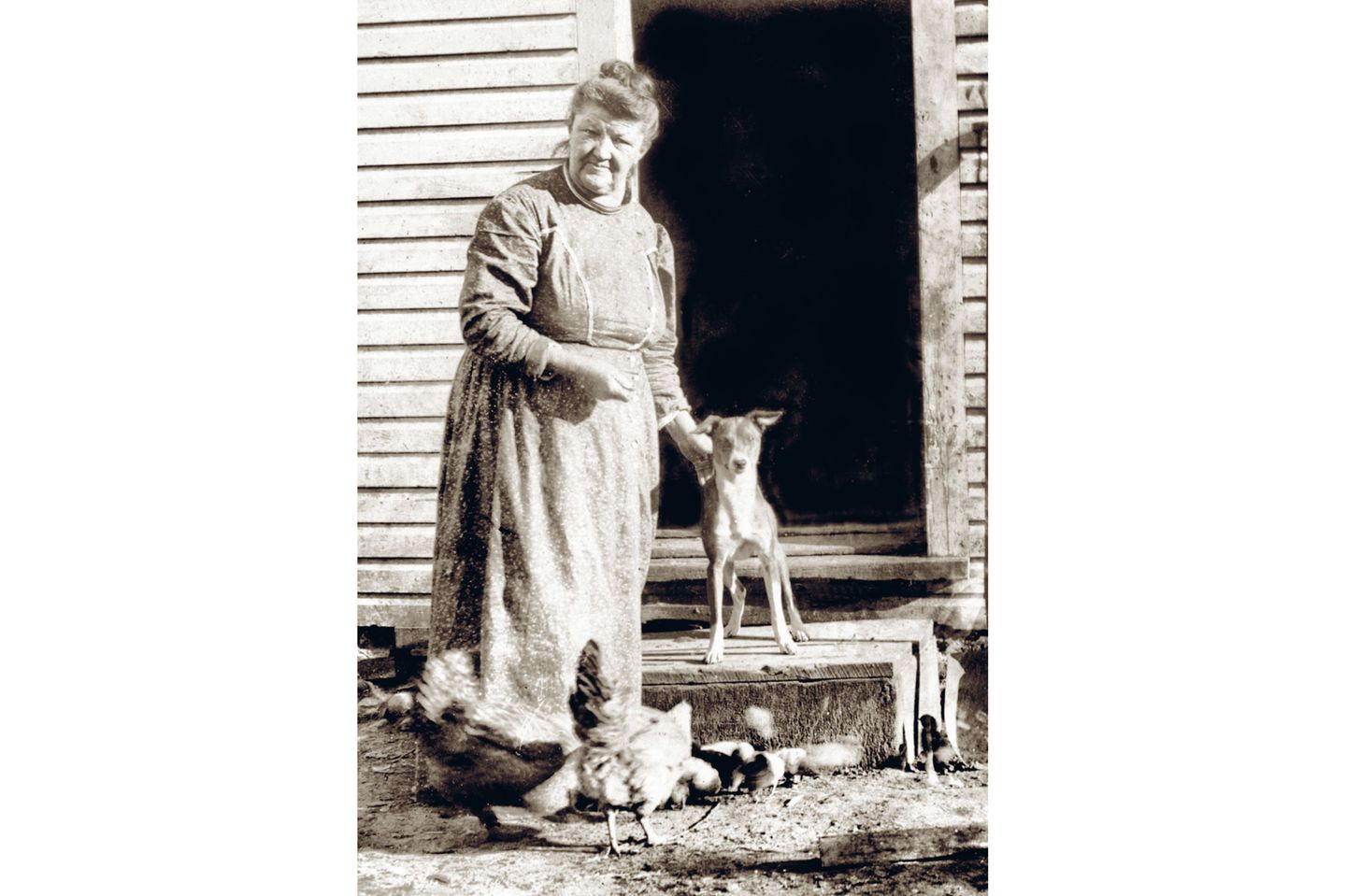 Gut erzogen – Nevada, um 1915 Gut erzogen – Nevada, um 1915