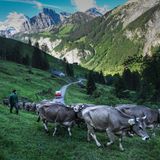 Von der Po-Ebene nach Glarus