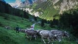 Von der Po-Ebene nach Glarus