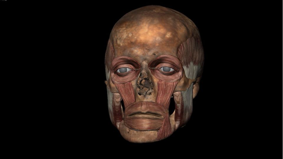 3D-Modellierung eines Kopfs