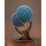 5th Place    Alison Pollack    San Anselmo, California, USA    Slime mold (Lamproderma)    Image Stacking, Reflected Light    10X (Objective Lens Magnification)