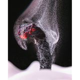 6th Place    Ole Bielfeldt    Macrofying    Cologne, North Rhine-Westphalia, Germany    Unburned particles of carbon released when the hydrocarbon chain of candle wax breaks down    Brightfield, Image Stacking    2.5X (Objective Lens Magnification)     