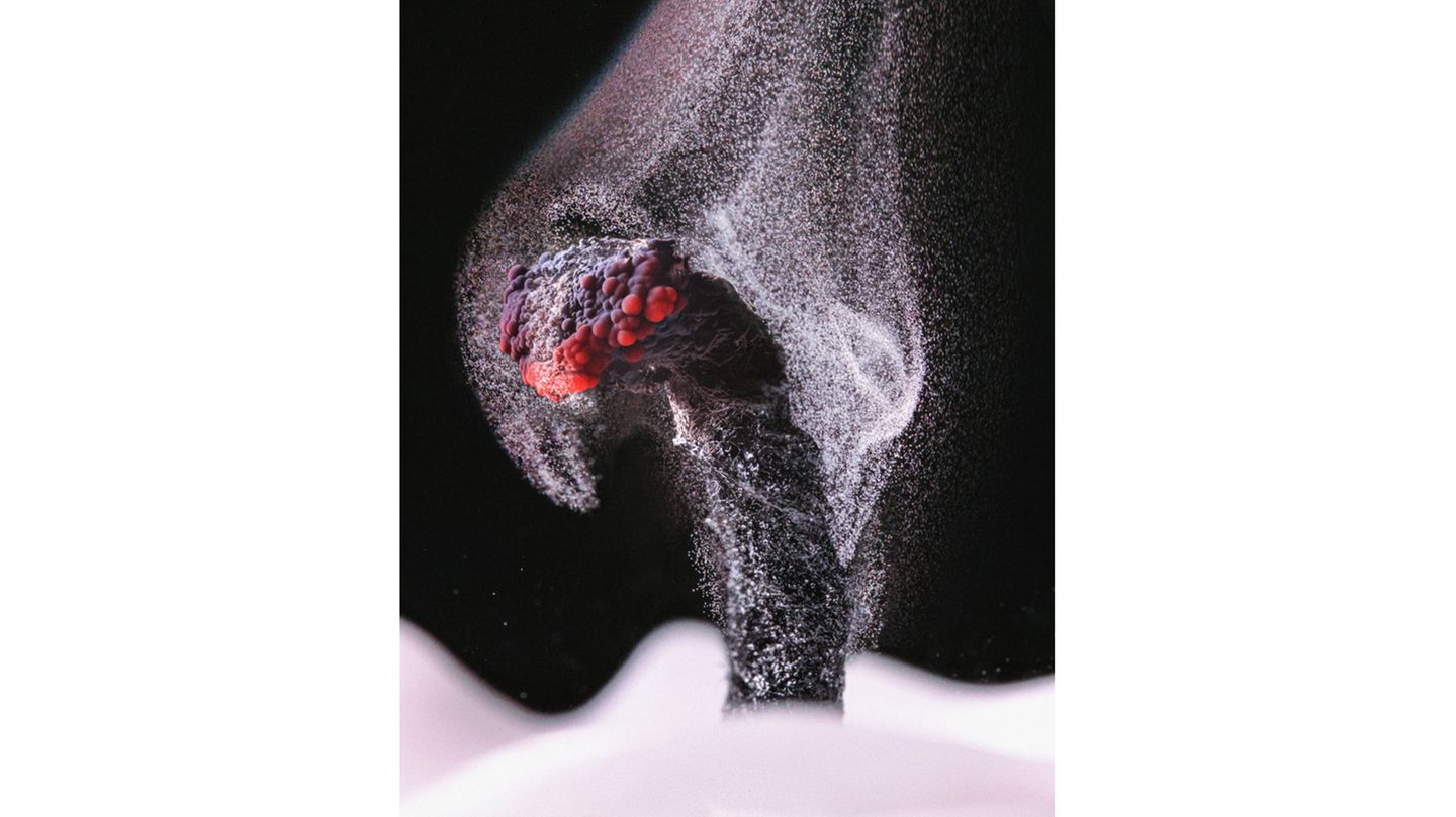 6th Place    Ole Bielfeldt    Macrofying    Cologne, North Rhine-Westphalia, Germany    Unburned particles of carbon released when the hydrocarbon chain of candle wax breaks down    Brightfield, Image Stacking    2.5X (Objective Lens Magnification)     