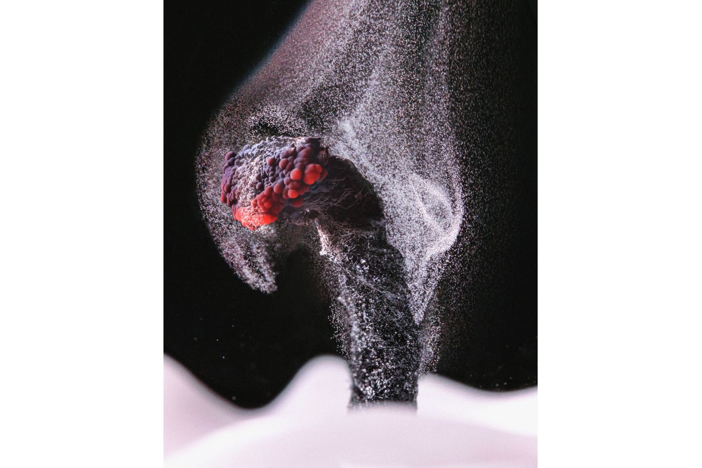 6th Place    Ole Bielfeldt    Macrofying    Cologne, North Rhine-Westphalia, Germany    Unburned particles of carbon released when the hydrocarbon chain of candle wax breaks down    Brightfield, Image Stacking    2.5X (Objective Lens Magnification)     