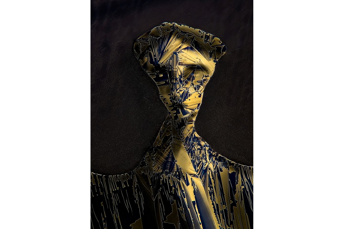 9th Place    Dr. Marek Sutkowski    Warsaw University of Technology    Institute of Microelectronics and Optoelectronics    Warsaw, Poland    Liquid crystal mixture (smectic Felix 015)    Image Stacking, Polarized Light    40X (Objective Lens Magnification)