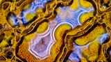 13th Place    Randy Fullbright    Fullbright Studio    Vernal, Utah, USA    Agatized dinosaur bone     Image Stacking    60X (Objective Lens Magnification)