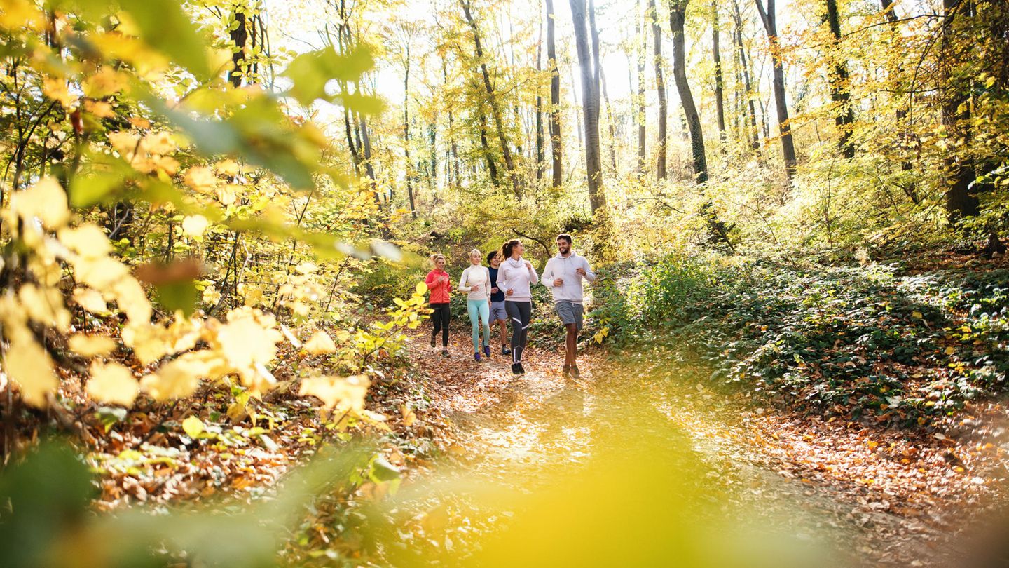 Note: Ungenügend!: WHO stellt Deutschland schlechtes Fitness-Zeugnis aus