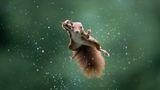 Jumping Jack