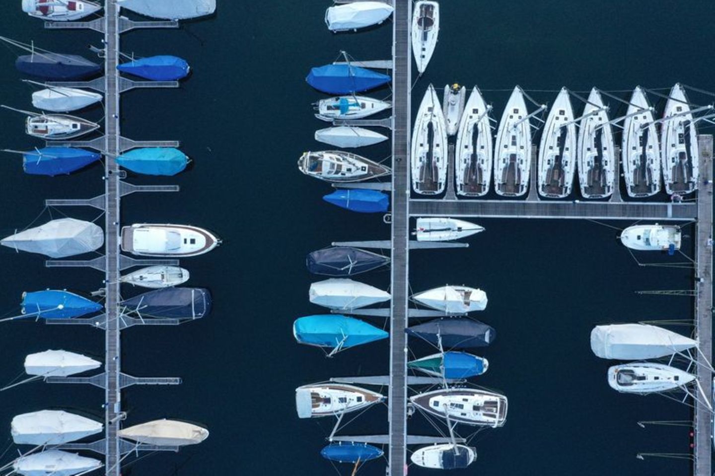 Mehrere Segel- und Motorboote liegen im Yachthafen am Bodensee