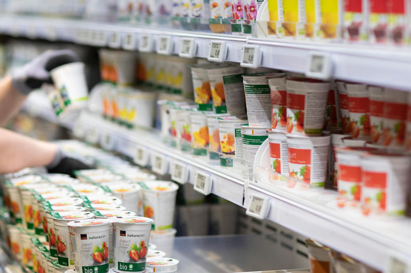 Fruchtjoghurts im Supermarkt