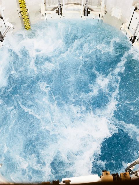 Lebenswichtig und lebendig: Selbst gefiltertes Trinkwasser (hier in einem Münchner Speicher) ist voll von mikroskopisch kleinen Wesen