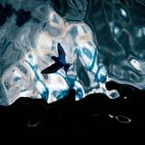 Beinahe 10.000 Aufnahmen hatte Jan Leßmann täglich im Kasten, wenn er eine Rauchschwalbe im Greifswalder Hafen fotografierte. Der Vogel brütete unter einer Brücke und zog immer gleiche Kreise, um Insekten zu fangen. Diese Gleichförmigkeit und seine zeitliche Freiheit erlaubten es dem Fotografen, mit der Umgebung kreativ zu spielen. Die Reflexionen der Mittagssonne im bewegten Wasser bilden einen verspielten Hintergrund, vor dem sich die Schwalbe kontrastreich abhebt, während starke Schatten die unterschiedlichen Blaustufen und das Glitzern der Sonne im Wasser betonen.