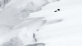 In den weichen Formen einer verschneiten, isländischen Landschaft verlieren sich zwei Polarfüchse im Spiel miteinander. Normalerweise wechseln Polarfüchse im Winter ihr Fellfarbe von Schwarz zu Weiss, doch es gibt Ausnahmen. So heben sich die Tiere kontrastreich ab, als kleines dunkles Detail in einer weiten, weißen Schneefläche.  