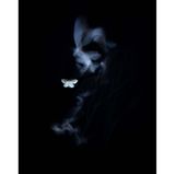 "Der Kuss des Geistes" nennt Tibor Litauszki sein Foto eines Kleinen Frostspanners. Mit einem LED Panel beleuchtete er die Flugbahn des Falters, zusätzlich blitzte Litauszki  am Ende der langen Belichtungszeit das Insekt an, um es scharf abzubilden. Einige hunderte Aufnahmen schoss der Fotograf, unter denen sich das poetische "Geisterbild" befand.