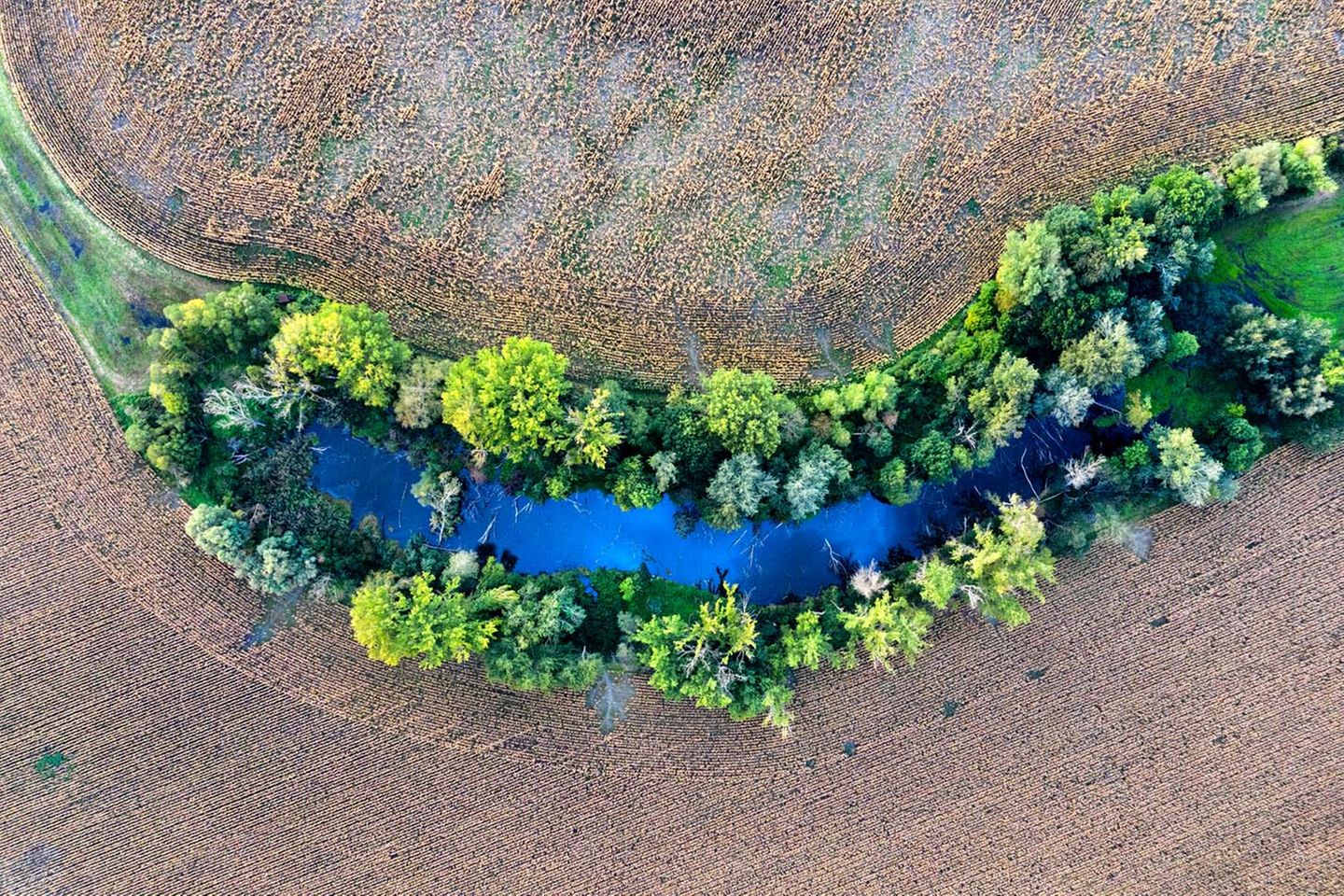 Ein deutliches Symbolbild für den Nutzen von Rewildering kommt von Peter Fodor. Seine Luftaufnahme zeigt einen von Bibern gestalteten Wasserlauf. Durch den Eingriff der Nager entstand eine grüne Naturoase, die im krassen Gegensatz zur kargen, landwirtschaftlich genutzten Fläche steht.