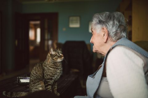 Katze und alte Frau