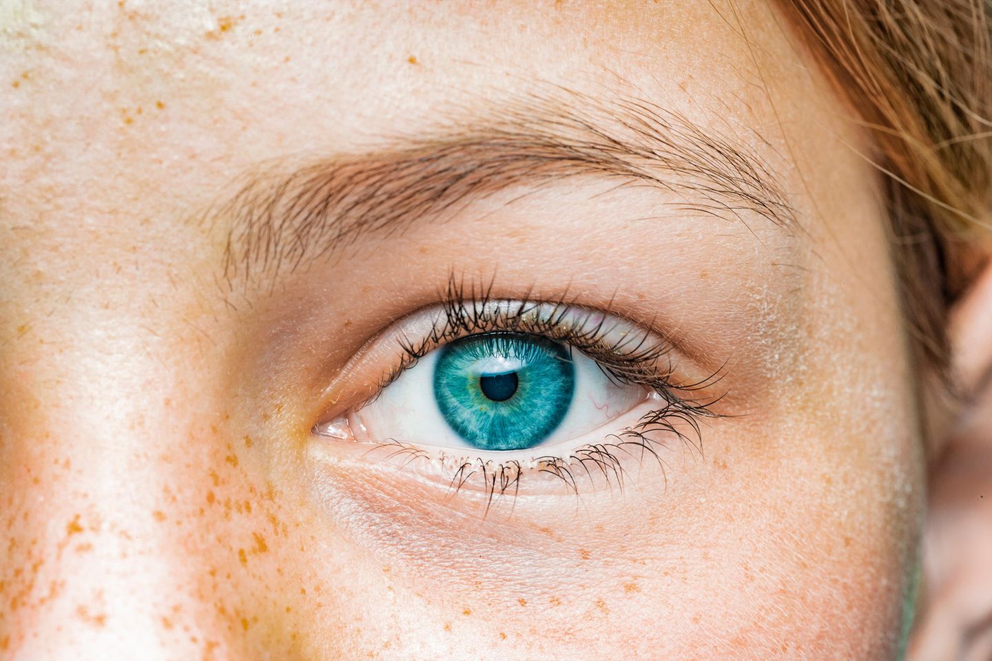 Menschliches Auge mit blauer Iris
