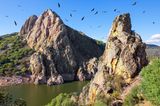 Kreisende Adler über Felsen und einem Fluss
