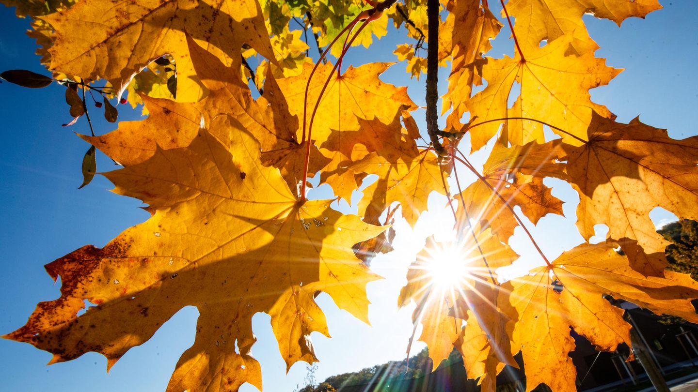 Der Oktober in Deutschland war in diesem Jahr nicht nur "golden" – sondern zugleich auch einer der wärmsten seit Aufzeichnungsbeginn