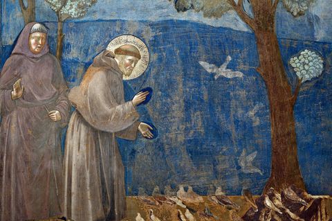Sogar Tieren wie diesen Vögeln verkündet Franziskus angeblich das Evangelium. Die Fresken zu diesem Text zieren seit Ende des 13. Jahrhunderts die Wände der Grabeskirche des Predigers in Assisi