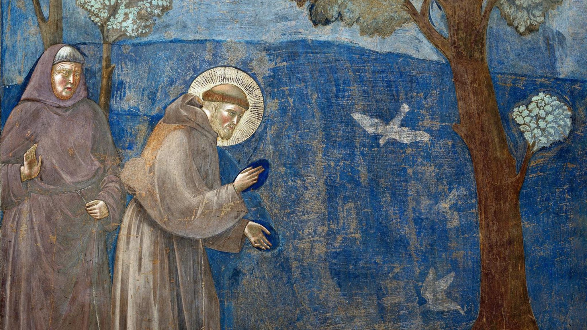 Sogar Tieren wie diesen Vögeln verkündet Franziskus angeblich das Evangelium. Die Fresken zu diesem Text zieren seit Ende des 13. Jahrhunderts die Wände der Grabeskirche des Predigers in Assisi