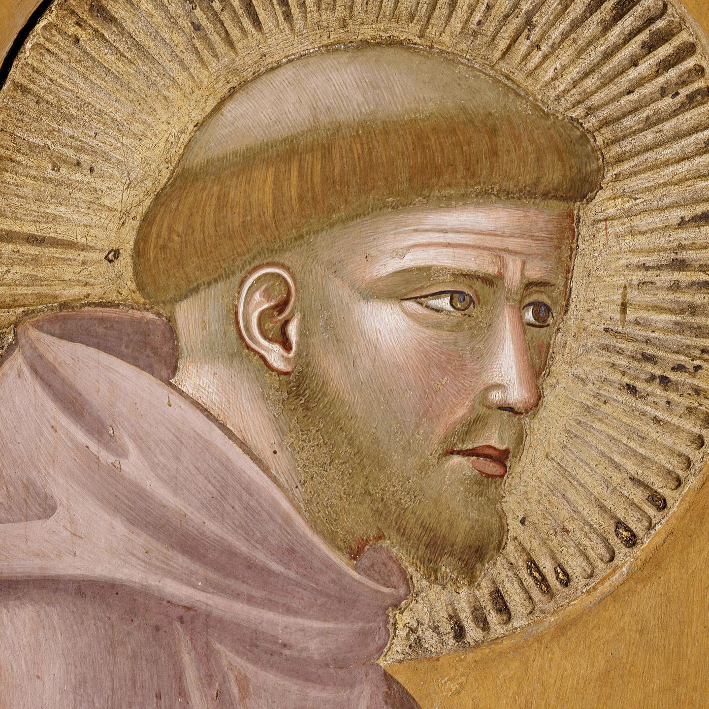 Franziskus mit Heiligenschein: Die Fresken zu diesem Text zieren seit Ende des 13. Jahrhunderts die Wände der Grabeskirche des Predigers in Assisi