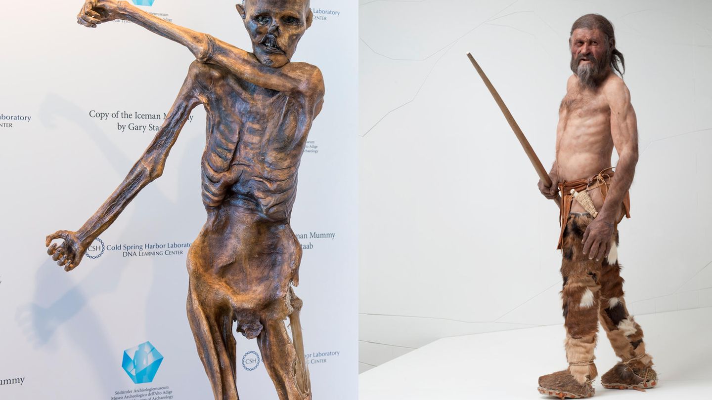 Ötzi Eine originalgetreue Kopie Ötzis sowie eine eine Rekonstruktion