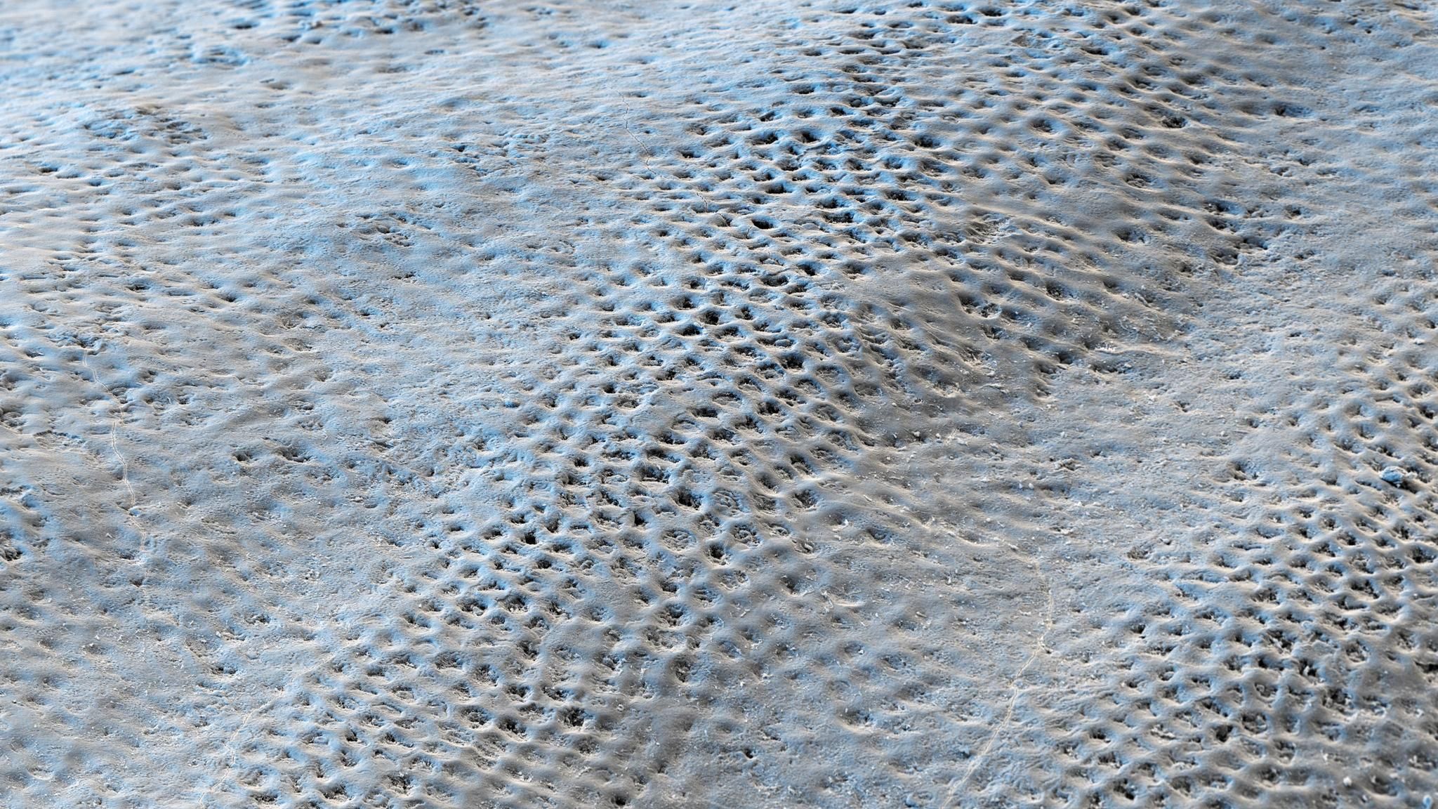 An diesem Schutz ist schwer vorbeizukommen: Unter dem Mikroskop, 600-fach vergrößert, gleicht die Zahnoberfläche frisch gegossenem Beton