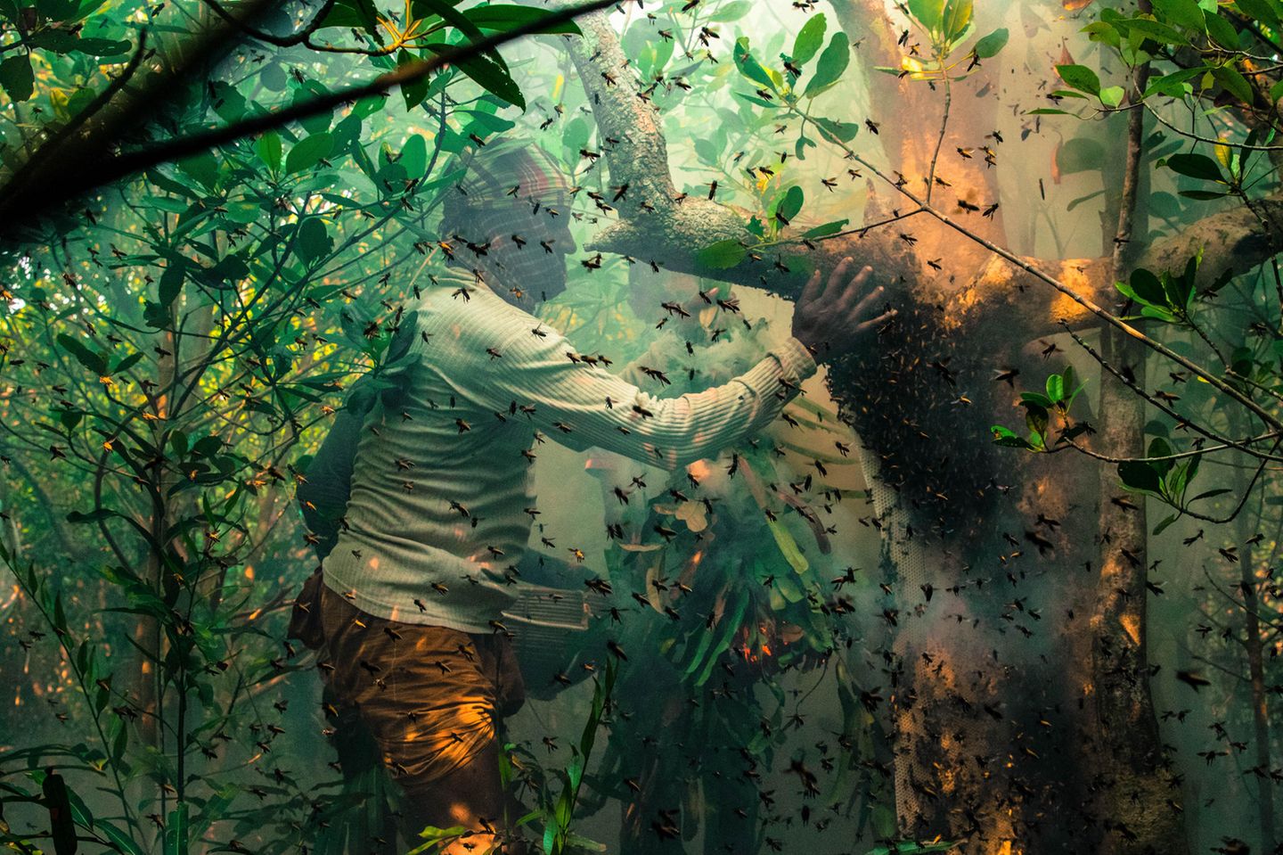 Gewinner in der Kategorie "Mangroven und Menschen": Muhammad Mostafigur Rahman mit "Honey Hunters" Sogenannte "Honey Hunters" sammeln wilden Honig tief in den Mangroven der Sundarbans