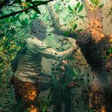 Sogenannte "Honey Hunters" sammeln wilden Honig tief in den Mangroven der Sundarbans