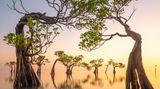 Die Sonne geht an den friedlichen Stränden von Ost-Sumba in Indonesien auf