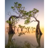 Die Sonne geht an den friedlichen Stränden von Ost-Sumba in Indonesien auf