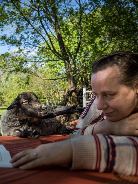 Auf Tuchfühlung: Im Garten von Ines John und Gordon Welters leben eine ganze Reihe von Tieren. Manchmal, sagt Ines John, habe sie das Gefühl, die Tiere könnten ihre Gedanken und Gefühle lesen