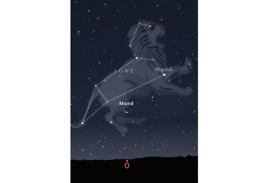 Grafische Darstellung des Sternbilds Löwe am Himmel