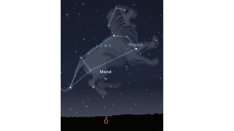 Grafische Darstellung des Sternbilds Löwe am Himmel
