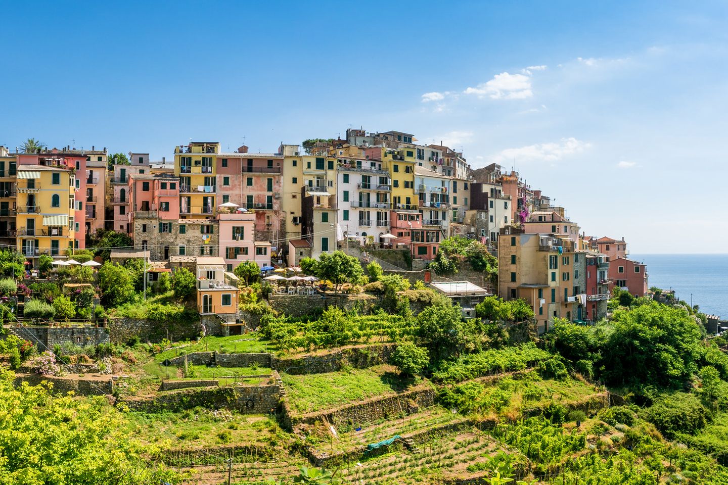 Corniglia: auf einer Klippe hoch über dem Meer Blick auf Häuser und Weinberge von Corniglia, Cinque Terre