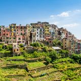 Blick auf Häuser und Weinberge von Corniglia, Cinque Terre