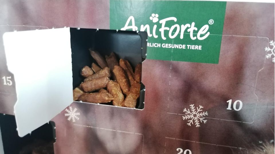 Katzen-Adventskalender mit geöffnetem Türchen