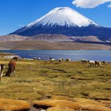 Lauca Nationalpark mit Arinacota-Vulkan im Hintergrund