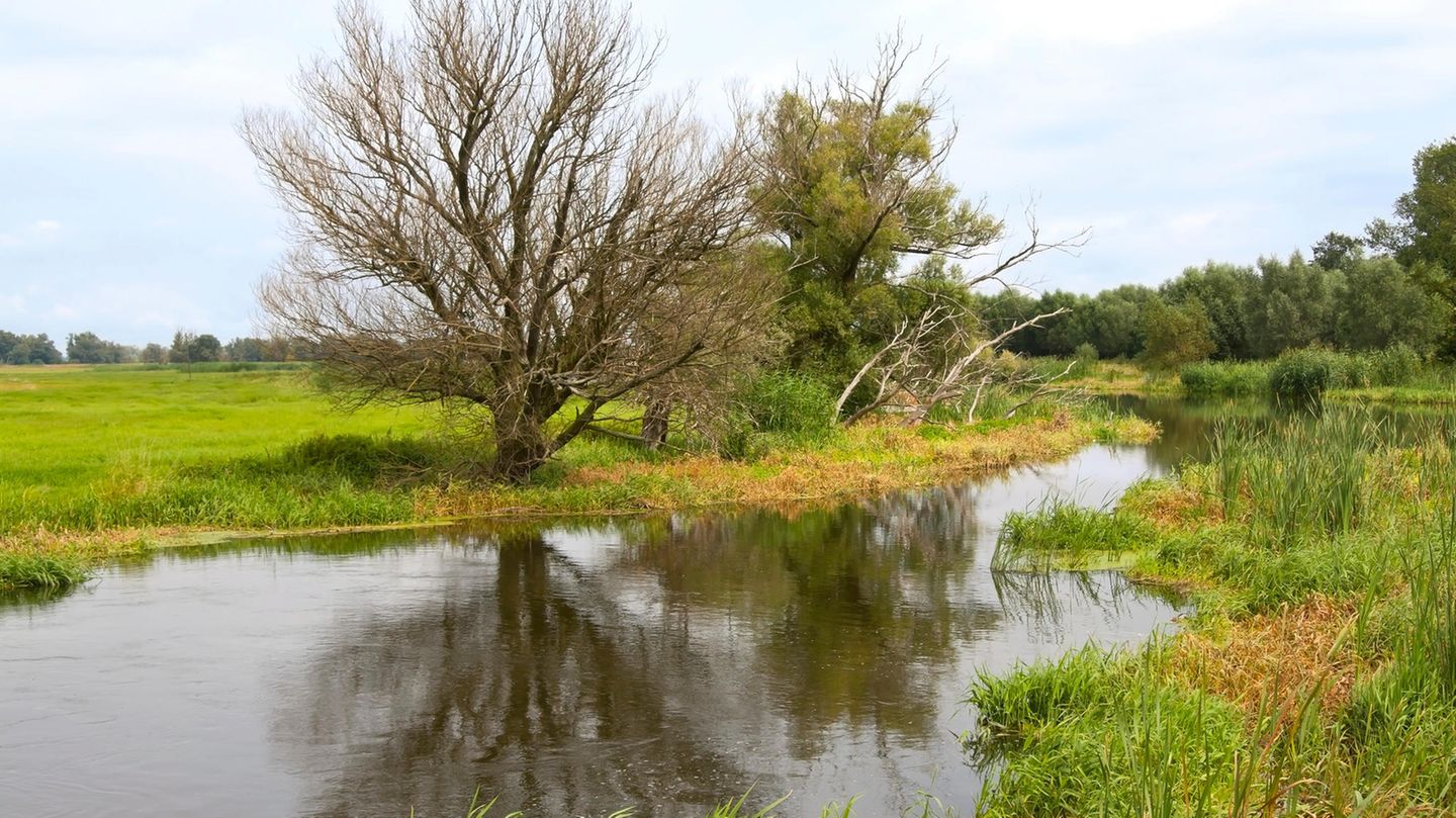 Die Havelniederung, ein Naturparadies
