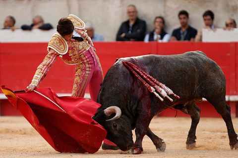 Stierkämpfer Sebastien Castella während seines Stierkampfes