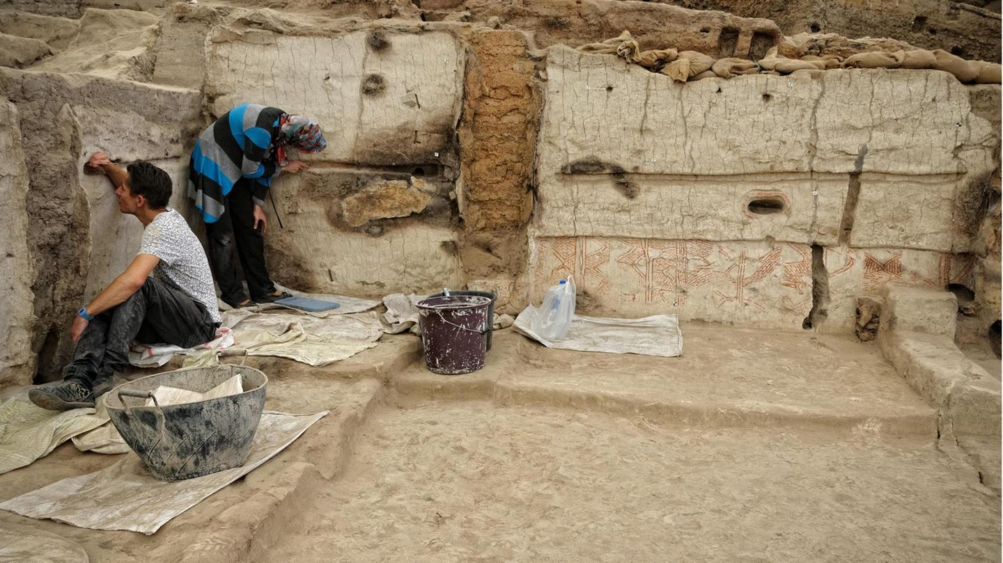 Ausgrabungen förderten in der jungsteinzeitlichen Siedlung ­Çatal­höyük in der heutigen Türkei jahrtausende­alte  Paläofäkalien zutage. Darin ­ein­geschlossen: Eier des Peitschenwurms, eines Darmparasiten