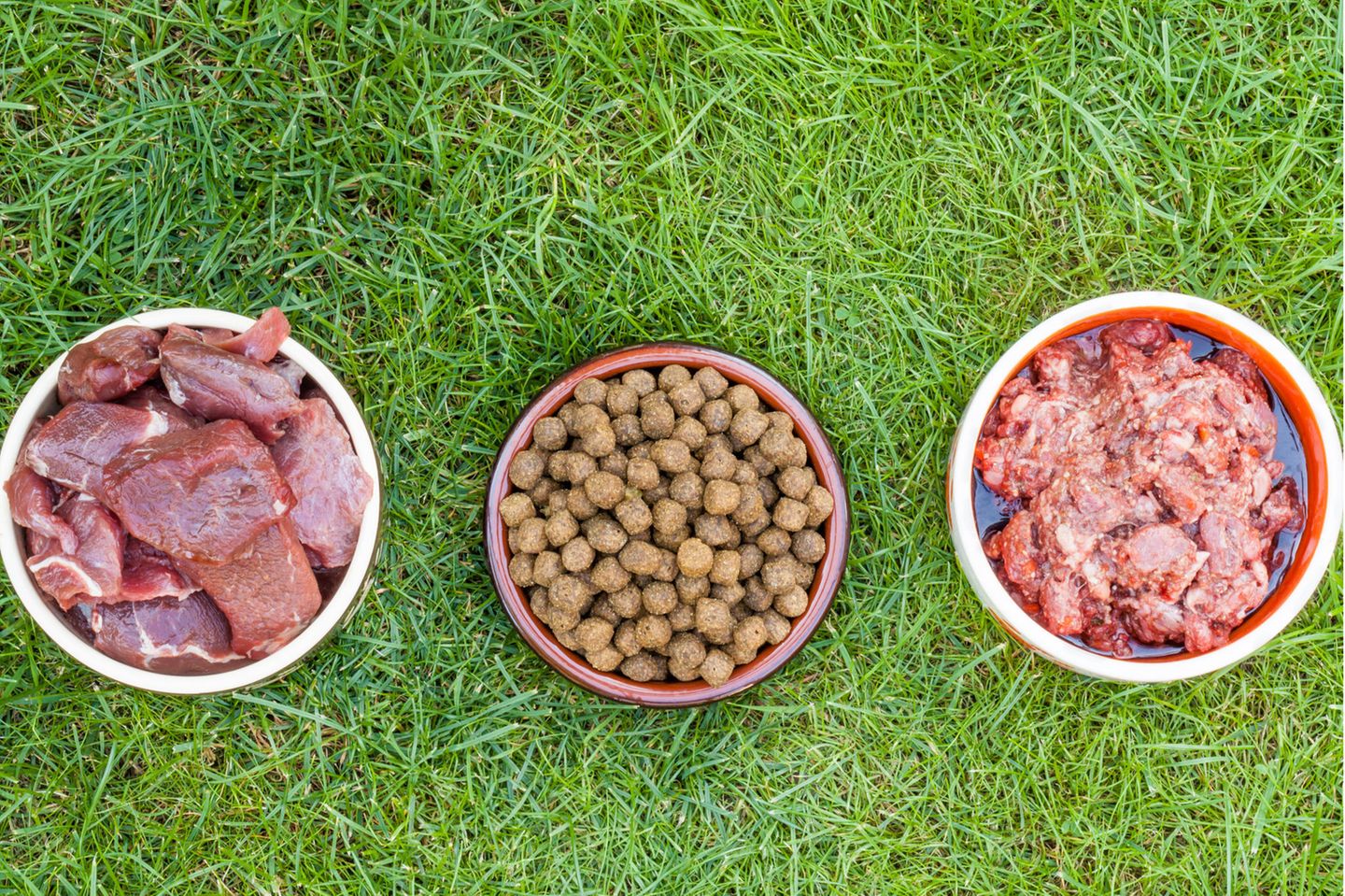 Trockenfutter ist umweltfreundlicher als Nassfutter - [GEO]