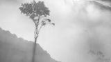 Natural Landscape Photography Awards / Stuart McGlennon