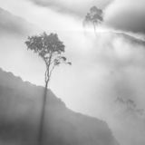 Natural Landscape Photography Awards / Stuart McGlennon