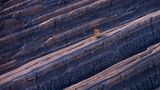 Fotograf des Jahres beim Natural Landscape Photography Awards
