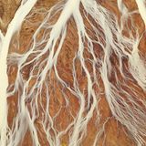 Natural Landscape Photography Awards / Antonio Fernandez auf Platz 2