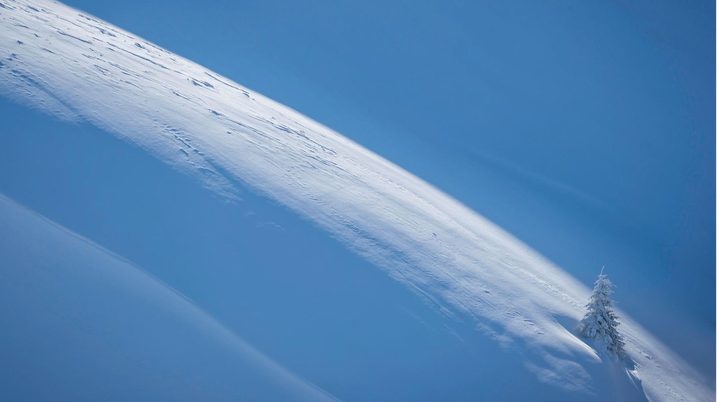Projekt des Jahres: "Forestis", Daniel Mirlea Natural Landscape Photography Awards / Daniel Mirlea