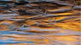Natural Landscape Photography Awards / Fotograf des Jahres ist Brent Clark