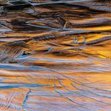 Natural Landscape Photography Awards / Fotograf des Jahres ist Brent Clark